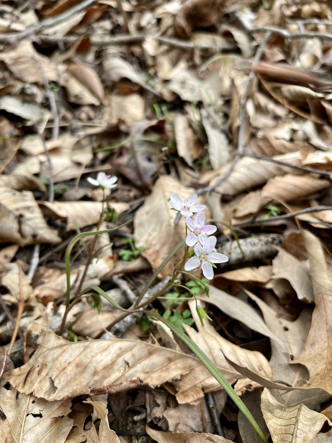 330771440 909447010275924 2820745012447542942 n