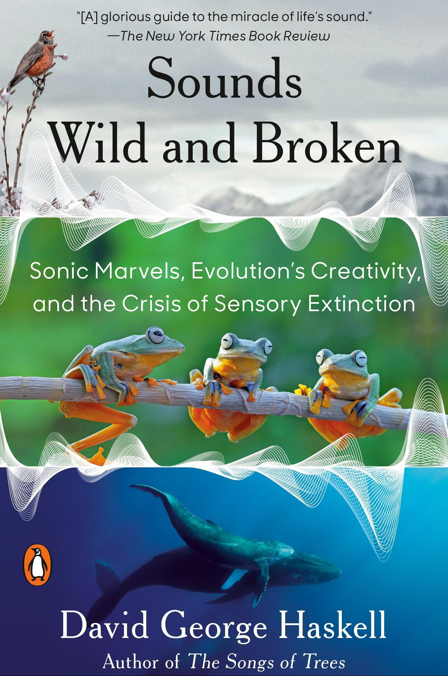 Hellbender Press - Nature is full of sensations and sounds, so David