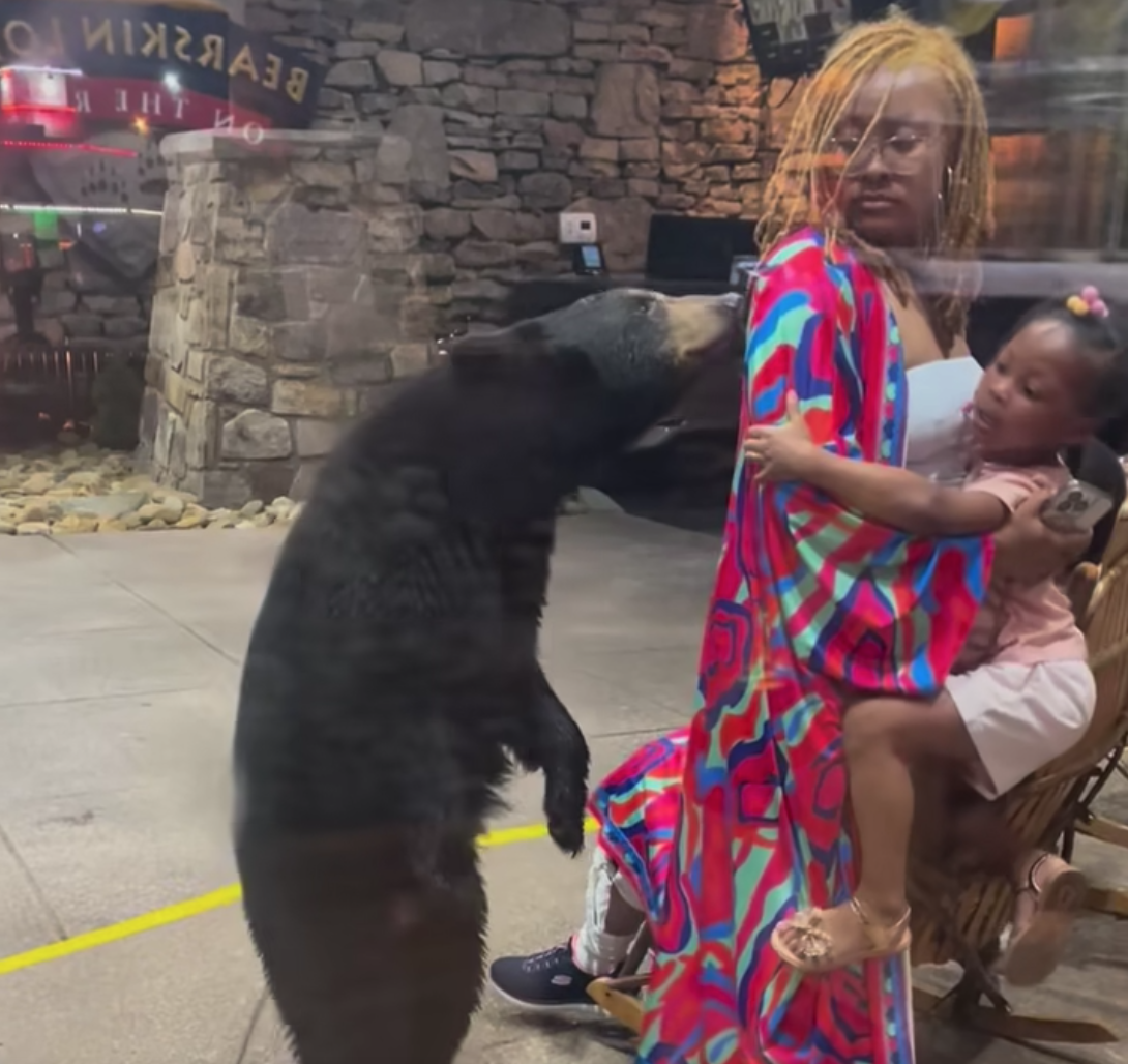 Screen Shot 2024 06 21 at 9.36.41 PM