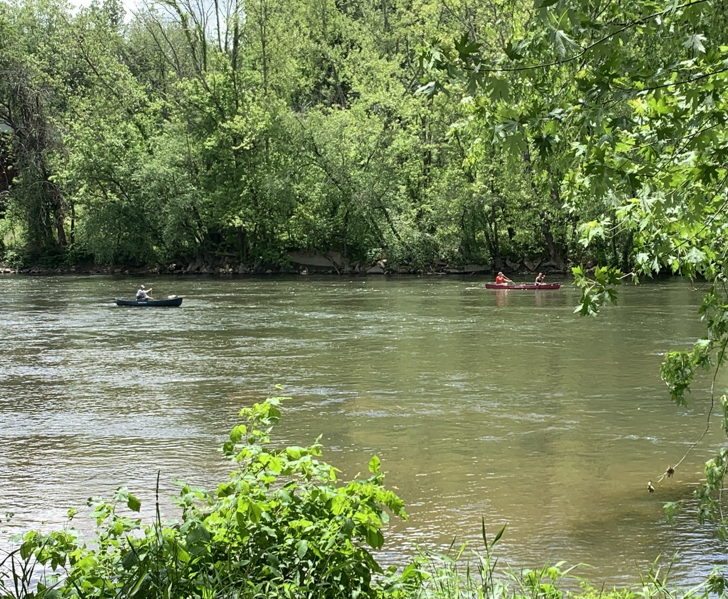 Hellbender Press Ancient river, new threats Water quality officials